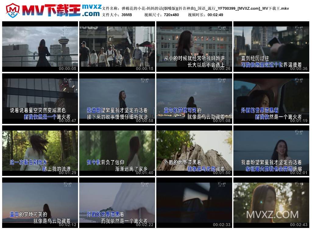 弹棉花的小花-妈妈的话(烟嗓版)(抖音神曲)_国语_流行_YF700399